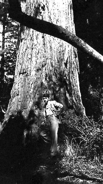 George in Redwood Forest